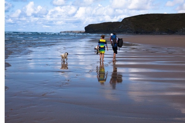 dog friendly cottages