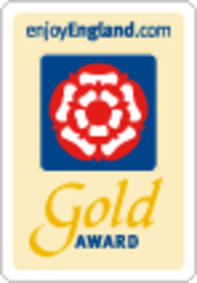 Gold award