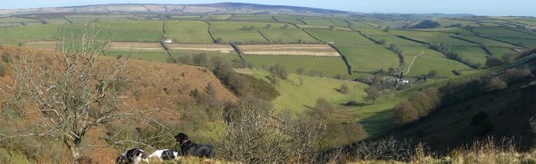 Court Farm Holiday Cottages