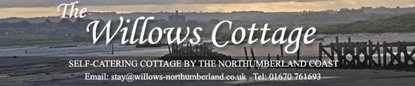 dog friendly accommodation in Alnwick Northumberland