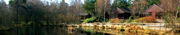 Tullochwood Lodges - Dog friendly accommodation in Scotland