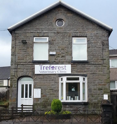 Treaforest Veterinary Clinic