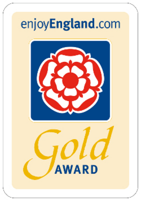 Gold award