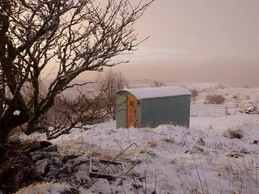 Dogs Friendly Cottages