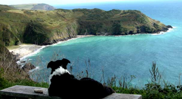 Treworgey - Dog Friendly Holiday Cottages Nr Looe, Cornwall