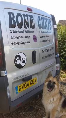 Dog Trainer in Pulborough