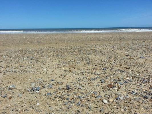 Dog Friendly beach in Norfolk