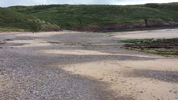 Dog Friendly Beach in Pembrokeshire