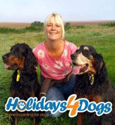 Holidays4Dogs - Somerset, Bristol and Dorset