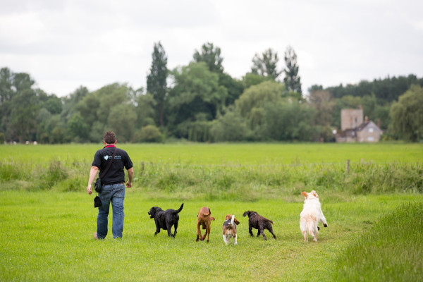 Dog Walker in Oxfordshire