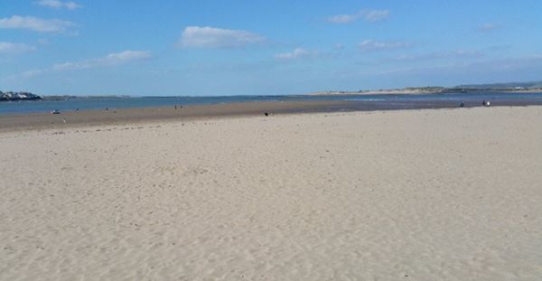 Surf Bay Lodge - Dog Friendly Accommodation in Appledore, Devon