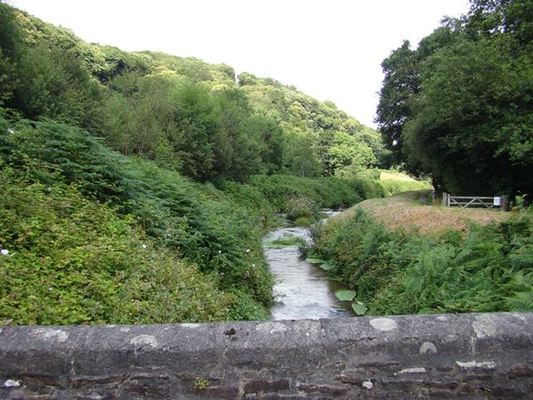 Dogs Friendly Cottages