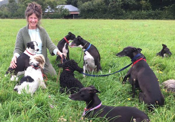 The Devon Dog Lady