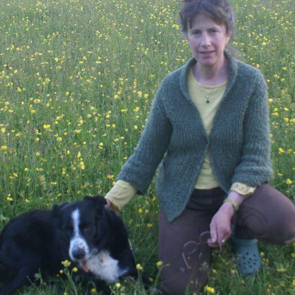 The Devon Dog Lady