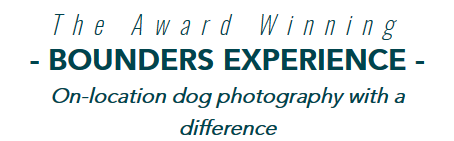 Bounders Dog Photography