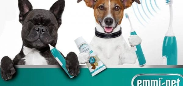 WinSome Wags Dog Grooming
