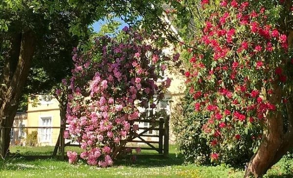 Toridge House Cottages