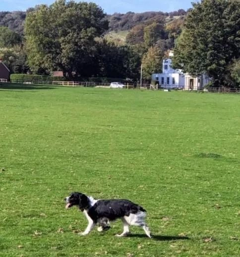 Beachborough Park