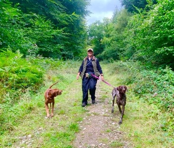 WALKIEES Go-With-Jo