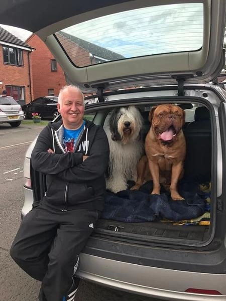 Canine Care Communication & Counselling