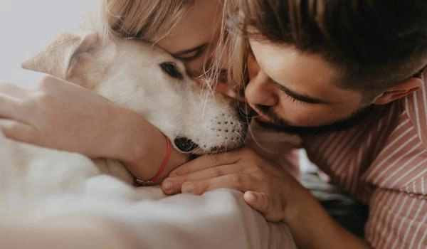 Legacy Pets