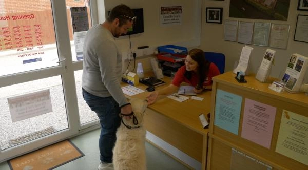 B.J.Kennels & Cattery