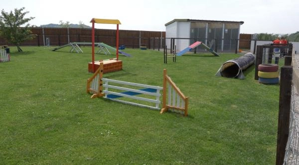 B.J.Kennels & Cattery