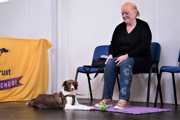 Dog School (Dogs Trust)