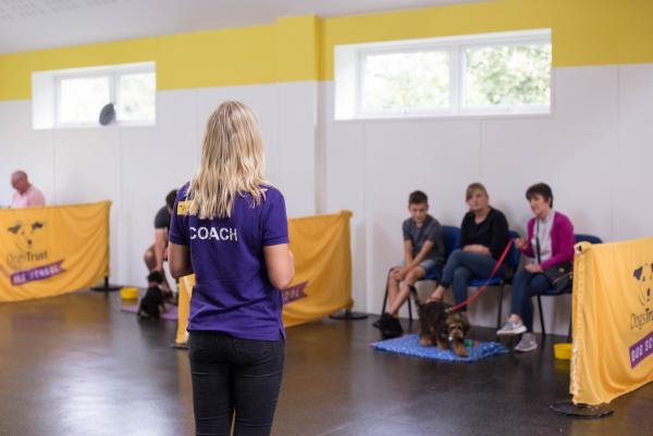 Dog School (Dogs Trust)