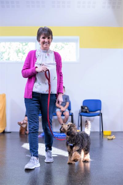 Dog School (Dogs Trust)