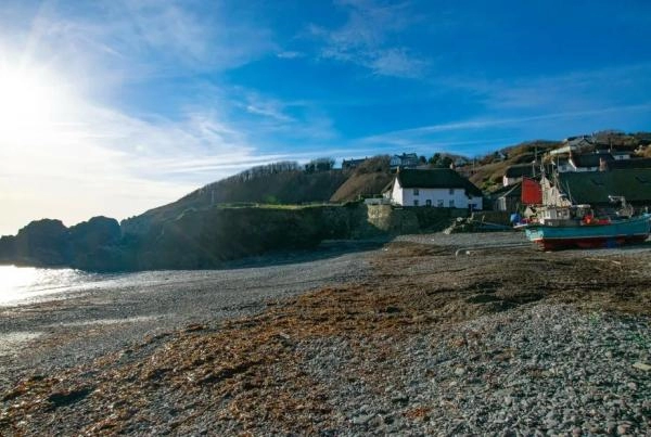 Dog Friendly Cottages