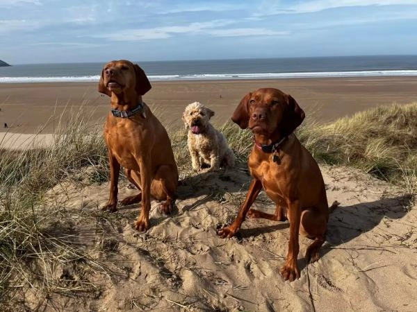 Byron Woolacombe Holidays