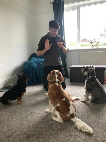 Bright Eyes Dog Care