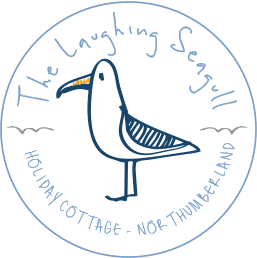 The Laughing Seagull