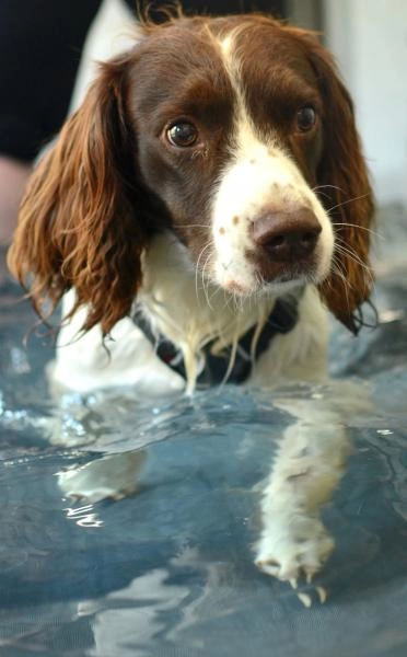 Kent and Medway Hydrotherapy