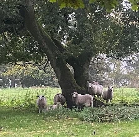Intake Farm