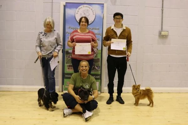Top Dog Training School