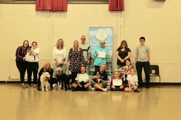 Top Dog Training School