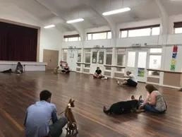 Top Dog Training School