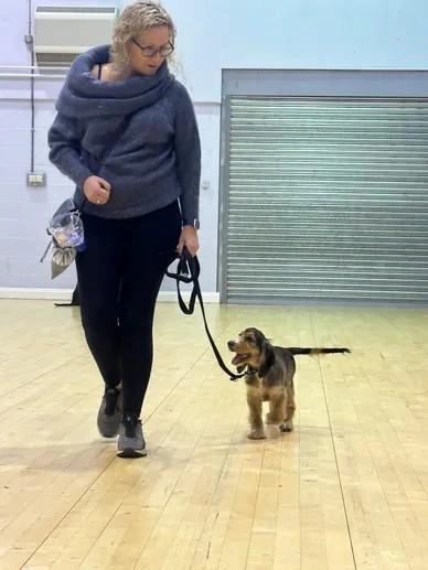 Top Dog Training School