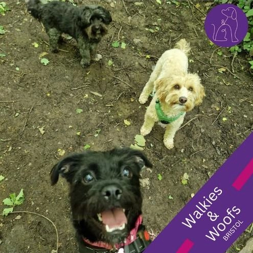 Walkies & Woofs