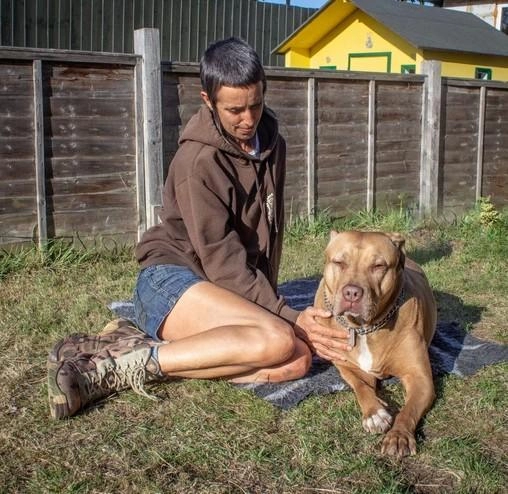 The Inner Wild Canine Development Centre
