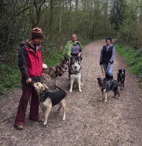 The Inner Wild Canine Development Centre