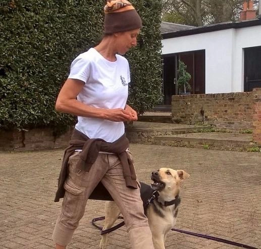 The Inner Wild Canine Development Centre