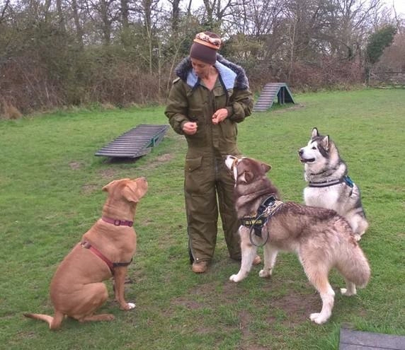 The Inner Wild Canine Development Centre
