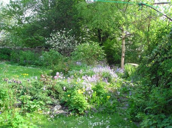 Field Beck