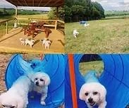 Coatbridge Dog Park