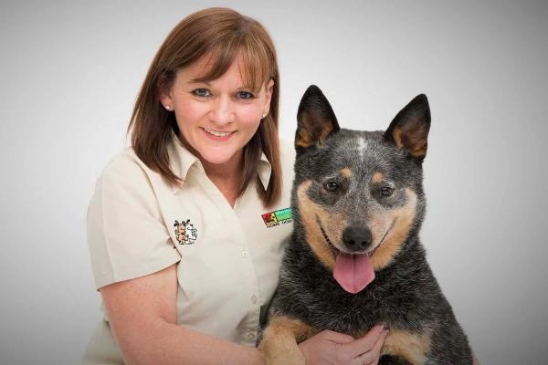 Bark Busters - Basingstoke & Fleet