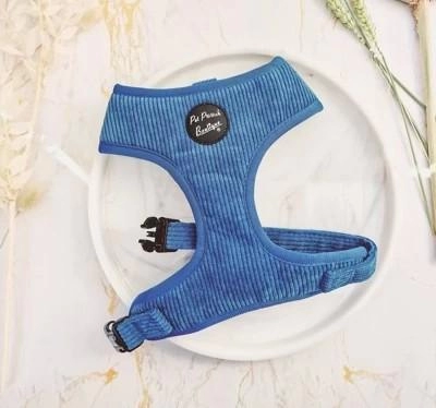 Pet Pooch Boutique