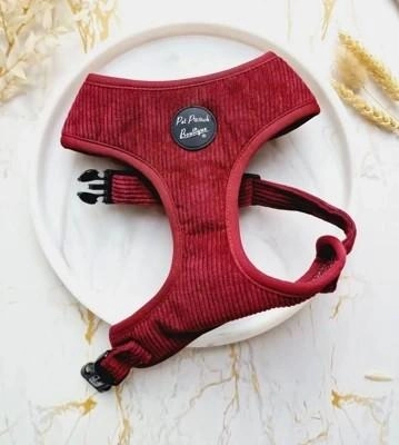 Pet Pooch Boutique